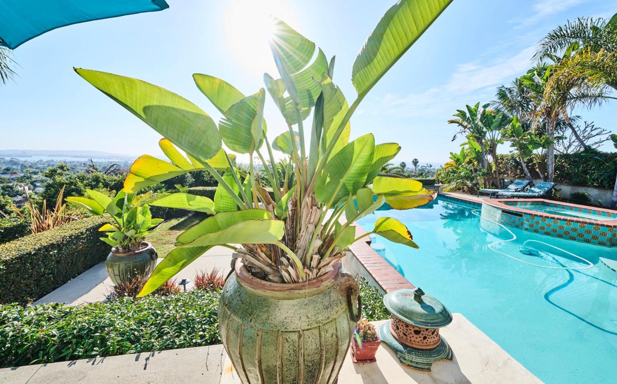 360 Degree Ocean & City Views With Pool, Spa, Close To The Beach! Pets Ok 샌디에이고 외부 사진